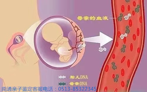 5f1e15c69f55e2fd0dbb4fc95ca98abb_副本.jpg